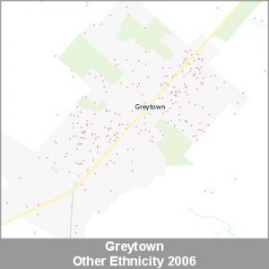 Ethnicity Greytown Other ProductImage 2006