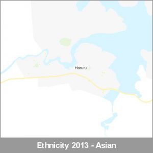 Ethnicity Haruru Asian ProductImage 2013