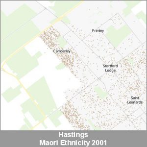 Ethnicity Hastings Maori ProductImage 2001