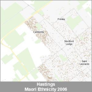 Ethnicity Hastings Maori ProductImage 2006