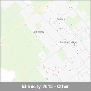 Ethnicity Hastings Other ProductImage 2013