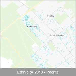 Ethnicity Hastings Pacific ProductImage 2013