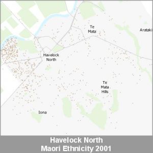 Ethnicity Havelock North Maori ProductImage 2001