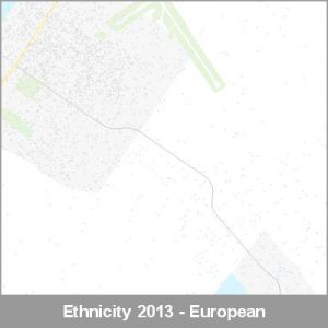 Ethnicity Hokitika European ProductImage 2013