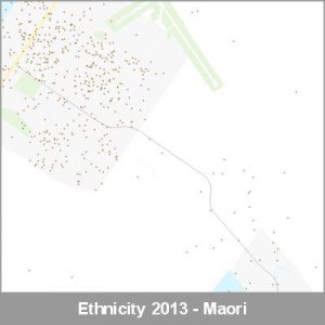 Ethnicity Hokitika Maori ProductImage 2013