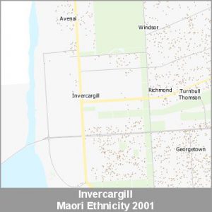 Ethnicity Invercargill Maori ProductImage 2001