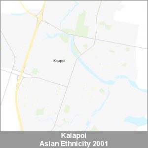 Ethnicity Kaiapoi Asian ProductImage 2001
