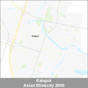 Ethnicity Kaiapoi Asian ProductImage 2006