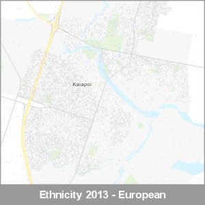 Ethnicity Kaiapoi European ProductImage 2013