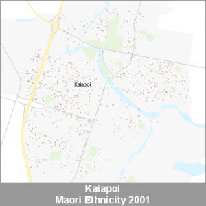 Ethnicity Kaiapoi Maori ProductImage 2001