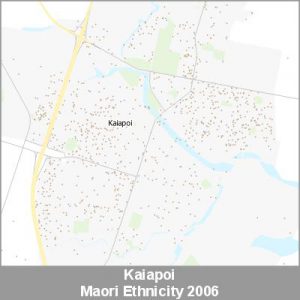 Ethnicity Kaiapoi Maori ProductImage 2006