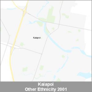 Ethnicity Kaiapoi Other ProductImage 2001