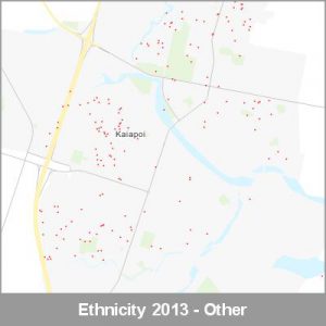 Ethnicity Kaiapoi Other ProductImage 2013