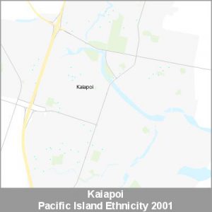Ethnicity Kaiapoi Pacific ProductImage 2001