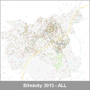 Ethnicity Kaikohe ALL ProductImage 2013