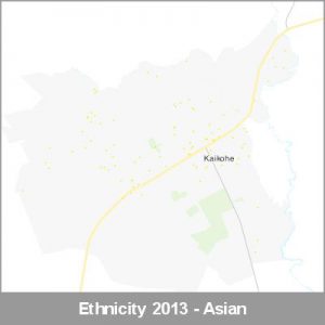 Ethnicity Kaikohe Asian ProductImage 2013
