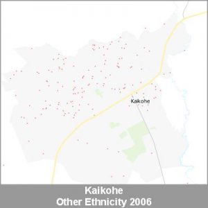 Ethnicity Kaikohe Other ProductImage 2006
