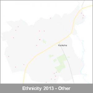 Ethnicity Kaikohe Other ProductImage 2013