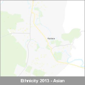 Ethnicity Kaitaia Asian ProductImage 2013