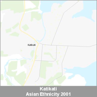 Ethnicity Katikati Asian ProductImage 2001