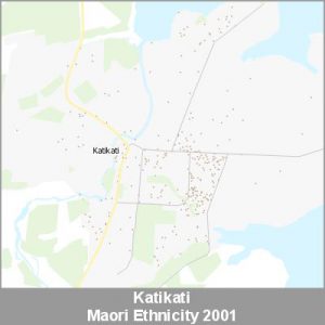 Ethnicity Katikati Maori ProductImage 2001