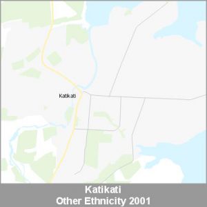 Ethnicity Katikati Other ProductImage 2001