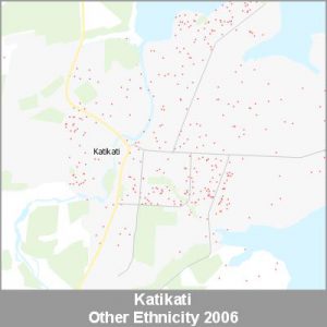 Ethnicity Katikati Other ProductImage 2006