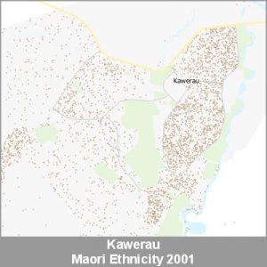 Ethnicity Kawerau Maori ProductImage 2001