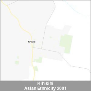 Ethnicity Kihikihi Asian ProductImage 2001
