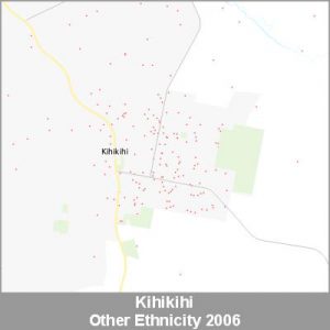 Ethnicity Kihikihi Other ProductImage 2006