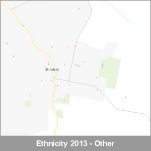 Ethnicity Kihikihi Other ProductImage 2013