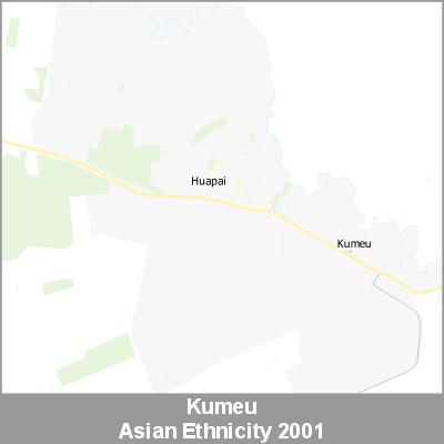 Ethnicity Kumeu Asian ProductImage 2001