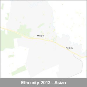 Ethnicity Kumeu Asian ProductImage 2013