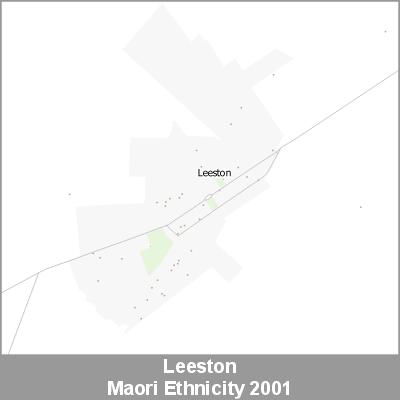 Ethnicity Leeston Maori ProductImage 2001