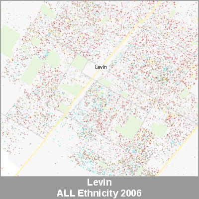 Ethnicity Levin ALL ProductImage 2006