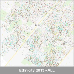 Ethnicity Levin ALL ProductImage 2013