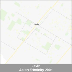 Ethnicity Levin Asian ProductImage 2001