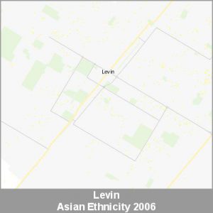 Ethnicity Levin Asian ProductImage 2006