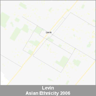 Ethnicity Levin Asian ProductImage 2006