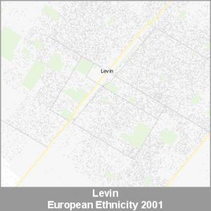 Ethnicity Levin European ProductImage 2001