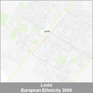 Ethnicity Levin European ProductImage 2006