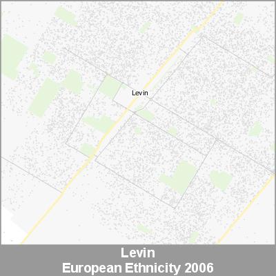 Ethnicity Levin European ProductImage 2006