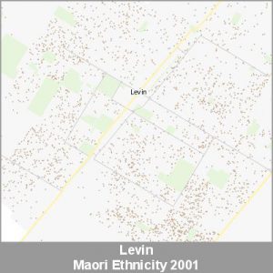 Ethnicity Levin Maori ProductImage 2001