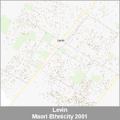 Ethnicity Levin Maori ProductImage 2001