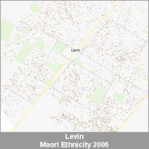 Ethnicity Levin Maori ProductImage 2006