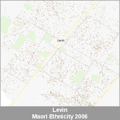 Ethnicity Levin Maori ProductImage 2006