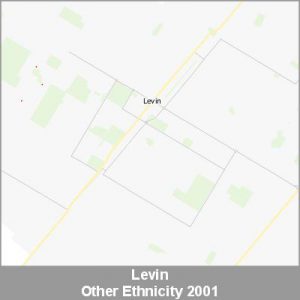 Ethnicity Levin Other ProductImage 2001