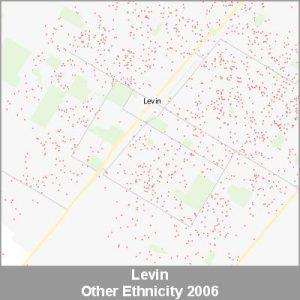 Ethnicity Levin Other ProductImage 2006