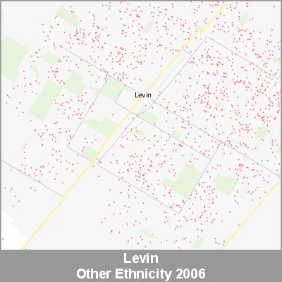 Ethnicity Levin Other ProductImage 2006