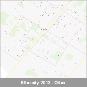 Ethnicity Levin Other ProductImage 2013